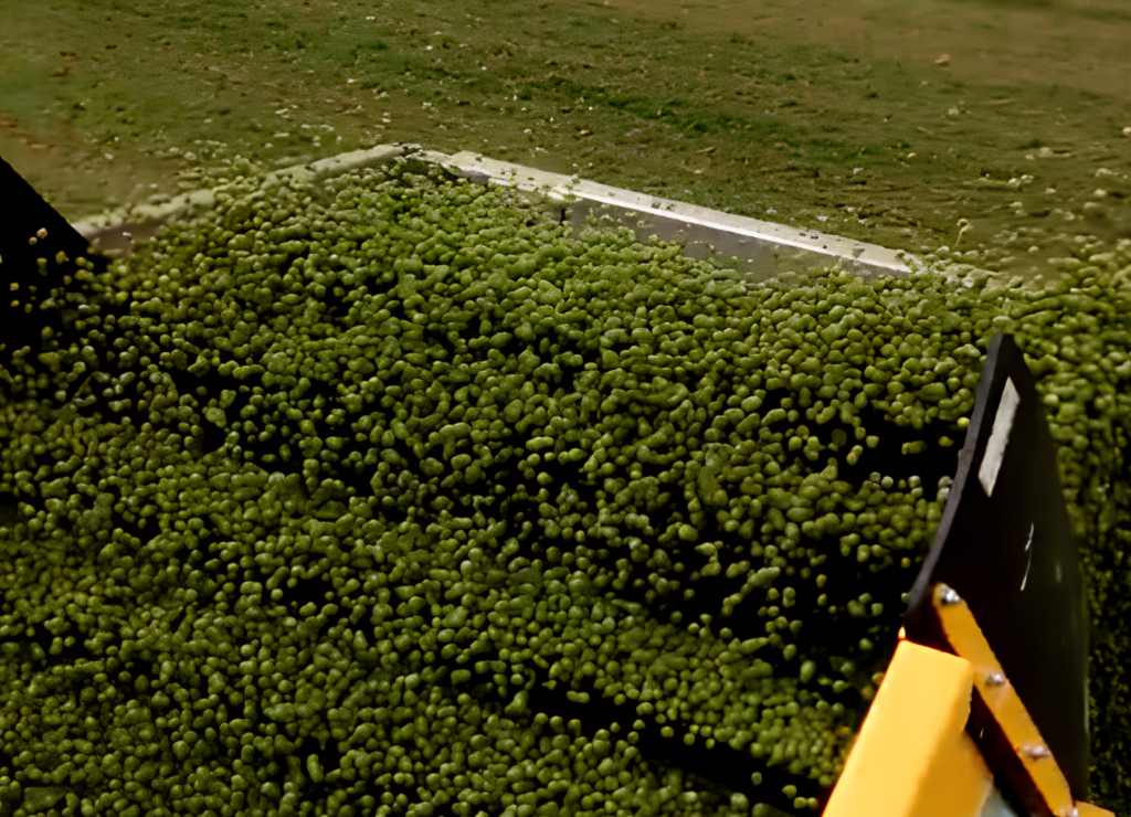 Captura de pantalla 2026-01-16 091507 (1)